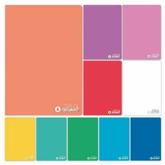 MAXI RIG.5MM SHINY COLOR PLUS 1 20+1 80GR BE SMART - BeSmart School & Office